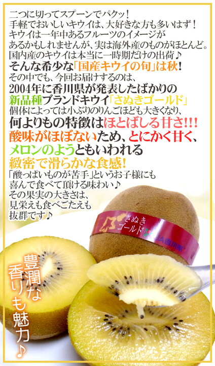 楽天市場】香川県 ”さぬきゴールド” 最高等級「黄様」 超大玉4L以上 9〜11玉 約2kg【予約 10月下旬以降】 送料無料 : くらし快援隊〜お中元お歳暮ギフト 楽天市場】香川県 ”さぬきゴールド” 最高等級「黄様」 超大玉4L以上 9〜11玉 約2kg【予約 10月下旬以降】 送料無料 : くらし快援隊〜お中元お歳暮ギフト
