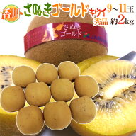 ”香川県 さぬきゴールド” 秀品 超大玉4L以上 9〜11玉 約2kg【予約 10月下旬以降】 送料無料
