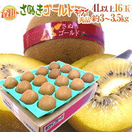 香川県 ”さぬきゴールド” 秀品 超大玉4L以上 16玉 約3〜3.5kg【予約 10月下旬以降】 送料無料