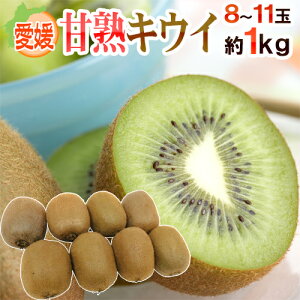 hQ ÏnLECh Gi 8`11ʑO 1kgy\ 12ȍ~z