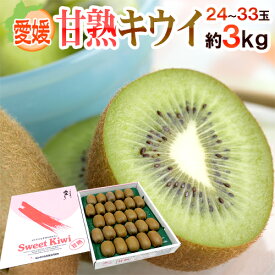 愛媛県 ”甘熟キウイ” 秀品 24〜33玉前後 約3kg【予約 12月末以降】 送料無料
