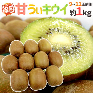 hY ÂLECh Gi 9`11ʑO 1kg ܂LECy\ 10{ȍ~z 