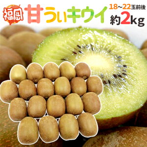 ”福岡産 甘うぃキウイ” 秀品 18〜22玉前後 約2kg あまうぃキウイ【予約 10月下旬以降】 送料無料