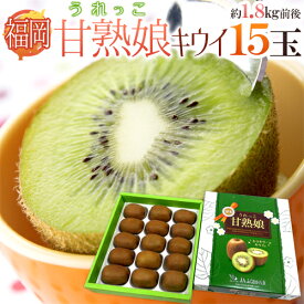 福岡県 八女産 ”甘熟娘（うれっこ）キウイ” 秀品 15玉 約1.8kg前後 化粧箱【予約 12月中旬以降】 送料無料