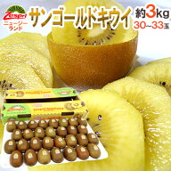ゼスプリ ”サンゴールドキウイ” 30〜33玉 約3kg【予約 4月下旬以降】 送料無料