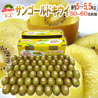ゼスプリ ”サンゴールドキウイ” 50〜60玉前後 約5〜5.5kg【予約 4月下旬以降】 送料無料