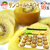楽天市場】ゼスプリ キウイ ぬいぐるみの通販 