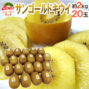 ゴールドキウイの人気商品 通販 価格比較 価格 Com
