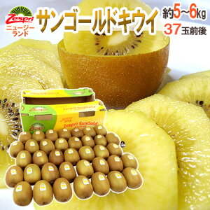 �[�X�v�� �h�T���S�[���h�L�E�C�h ��� 37�ʑO�� ��5�`6kg�y�\�� 4�����{�ȍ~�z ��������