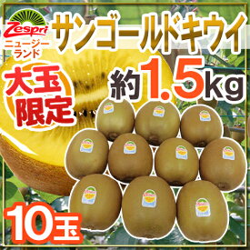 ゼスプリ ”サンゴールドキウイ” 大玉 10玉 約1.5kg【予約 4月下旬以降】 送料無料