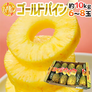 �t�B���s���Y �h�S�[���f���p�C���h ��� 6�`8�� ��10kg�y�\�� ���׎��攭���z ��������