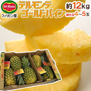 �f�������e �t�B���s���Y �h�S�[���f���p�C���h ������4�`5�� ��12kg�y�\�� ���׎��攭���z ��������