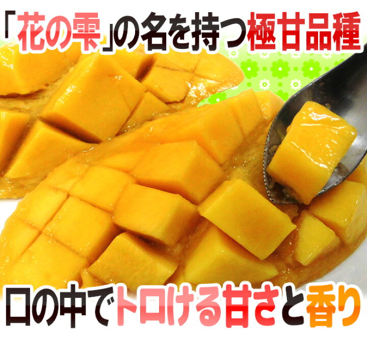 楽天市場】”タイ産 ナンドクマイマンゴー” 3〜4玉 約1kg前後 航空便 