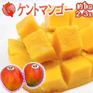 hy[Y Pg}S[h 2`3ʑO 1kg qցy\ 12{ȍ~z 