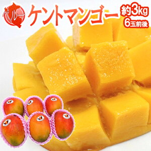 hy[Y Pg}S[h 6ʑO 3kg qցy\ 12{ȍ~z 