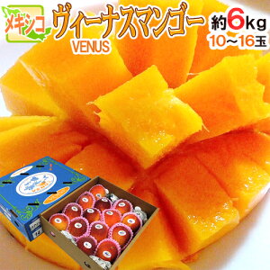 メキシコ産 マンゴーの人気商品 通販 価格比較 価格 Com