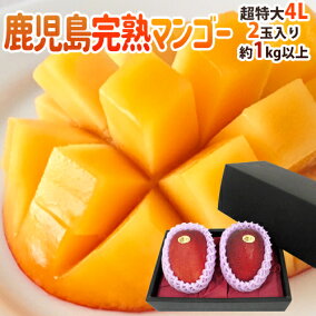 楽天市場】鹿児島産 ”完熟マンゴー” 秀品 超特大4L 2玉 約1kg以上 化粧 