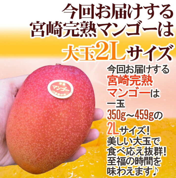 楽天市場】”宮崎完熟マンゴー” 秀品 2Lサイズ 2玉入り 化粧箱 宮崎 