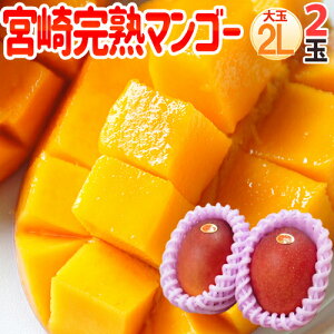 �h�{��}���S�[�h �G�i ��� 2L�T�C�Y 2�ʁy�\�� 5�����{�ȍ~�z