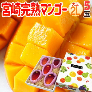�h�{�芮�n�}���S�[�h ��ʏG�i 2L�T�C�Y 5�ʓ��� ���ϔ� �{��}���S�[�y�\�� 3�����{�ȍ~�z ��������