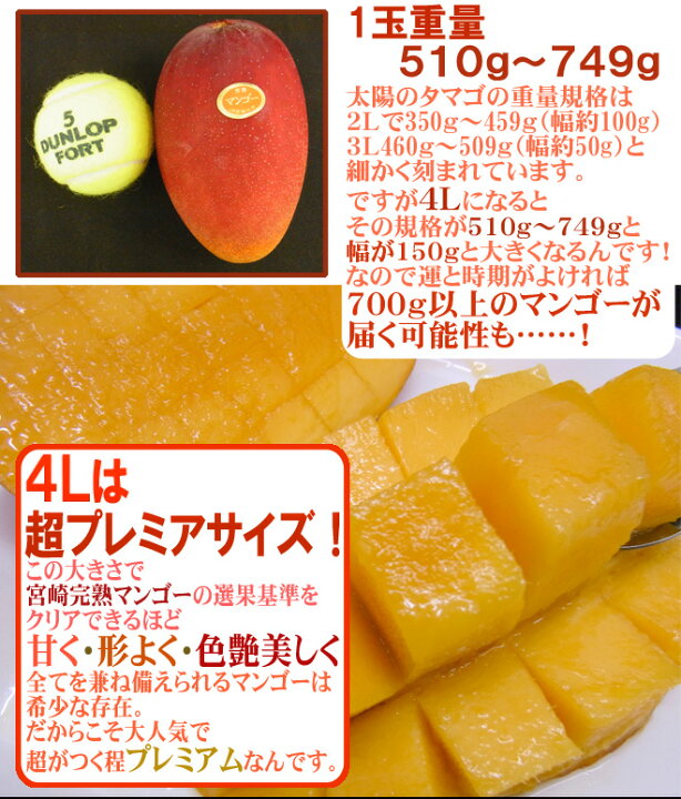楽天市場】”宮崎完熟マンゴー” 秀品 4Lサイズ 2玉入り 化粧箱 宮崎 
