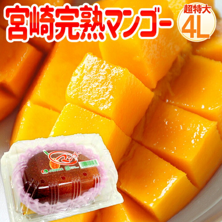 鹿児島産 ”完熟マンゴー” 秀品 超特大4L 5玉 約2.5kg以上 化粧箱【予約 
