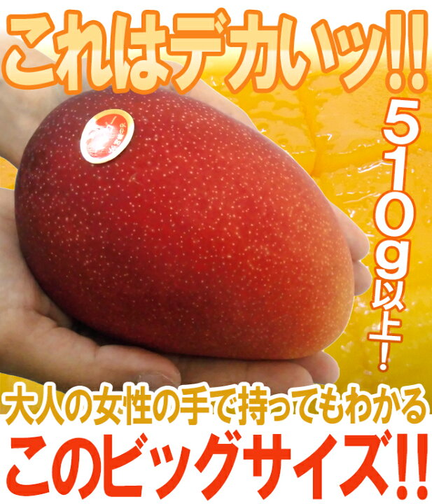 楽天市場】”宮崎完熟マンゴー” 秀品 4Lサイズ 510g以上 パック入り 