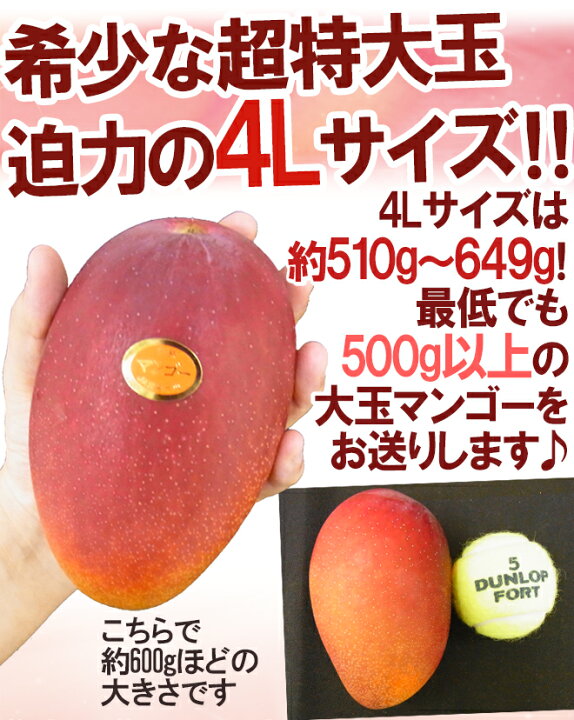 楽天市場】”宮崎完熟マンゴー” 秀品 4Lサイズ 510g以上 パック入り  