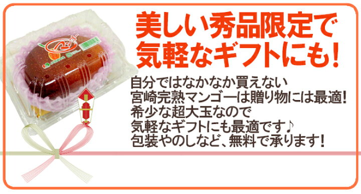 楽天市場】”宮崎完熟マンゴー” 秀品 4Lサイズ 510g以上 パック入り 