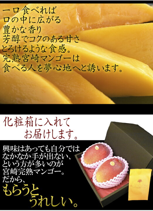 楽天市場】”宮崎完熟マンゴー” 秀品 4Lサイズ 2玉 1.2kg以上 化粧 