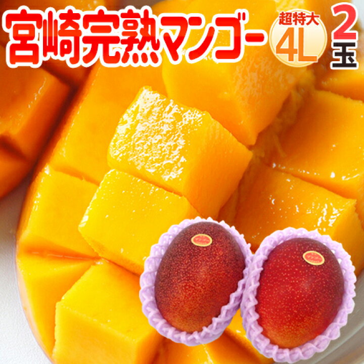 楽天市場】”宮崎マンゴー” 秀品 超特大玉 4Lサイズ 2玉 宮崎完熟 