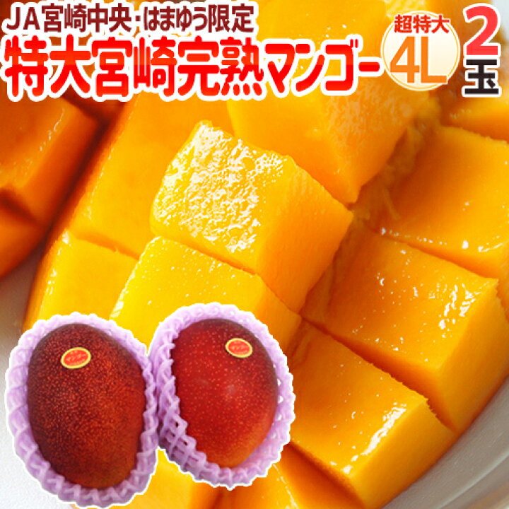 楽天市場】”宮崎マンゴー” 秀品 超特大玉 4Lサイズ 2玉 JA宮崎中央 