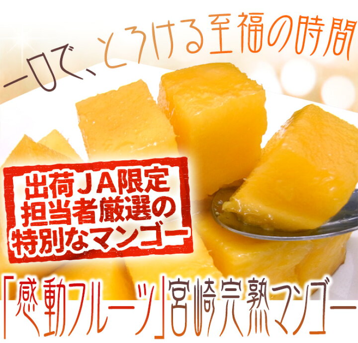 楽天市場】”宮崎マンゴー” 秀品 超特大玉 4Lサイズ 2玉 JA宮崎中央 