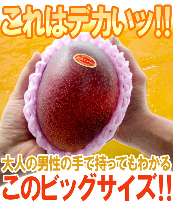 楽天市場】”宮崎マンゴー” 秀品 超特大玉 4Lサイズ 2玉 JA宮崎中央  
