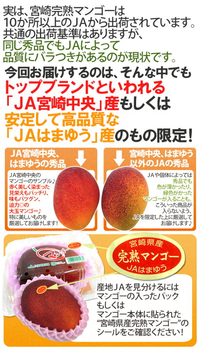 楽天市場】”宮崎マンゴー” 秀品 超特大玉 4Lサイズ 2玉 JA宮崎中央 
