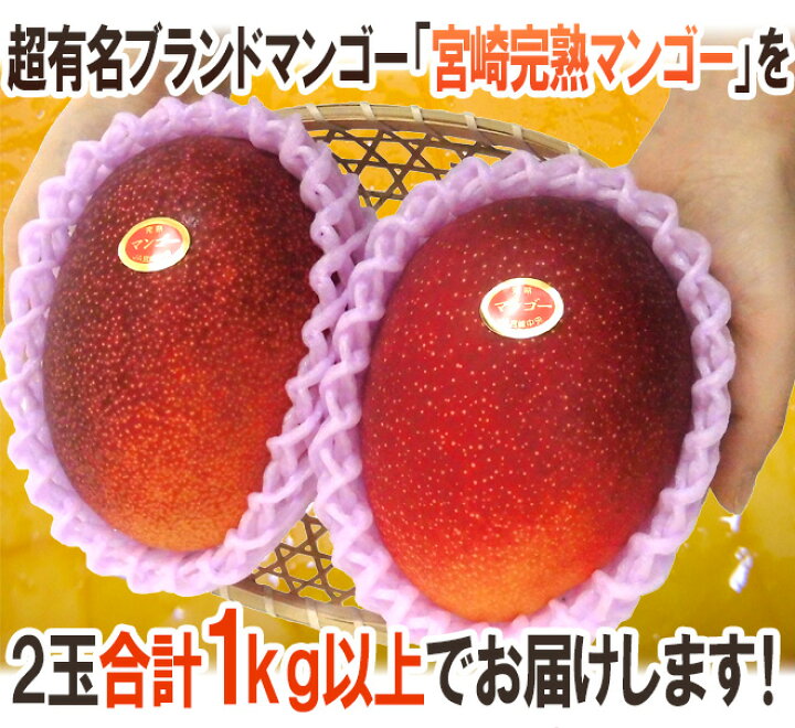 楽天市場】”宮崎マンゴー” 秀品 超特大玉 4Lサイズ 2玉 JA宮崎中央 