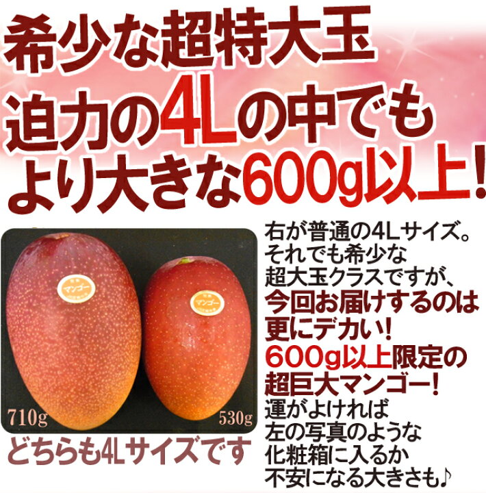 鹿児島産 ”完熟マンゴー” 秀品 超特大4L 5玉 約2.5kg以上 化粧箱【予約 