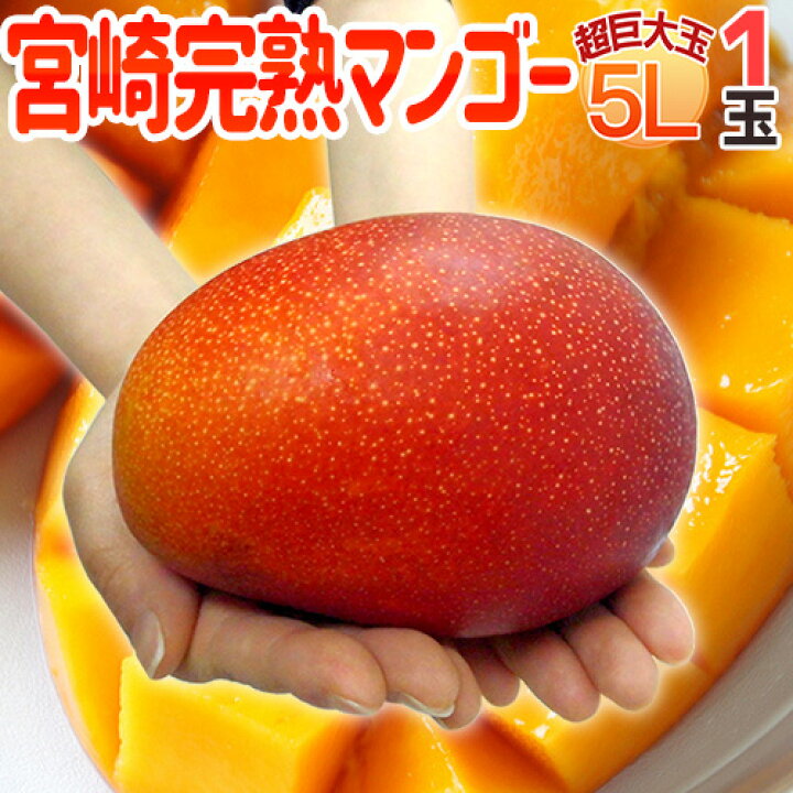 楽天市場】”宮崎完熟マンゴー”秀品 5Lサイズ限定《3玉購入で送料無料 