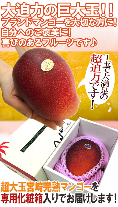 楽天市場】”宮崎完熟マンゴー” 秀品 5Lサイズ 1玉 約650g以上 化粧箱 