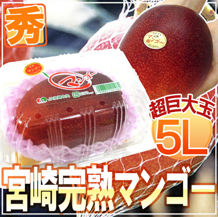 楽天市場】”宮崎完熟マンゴー” 秀品 5Lサイズ 約650g以上 パック入り 