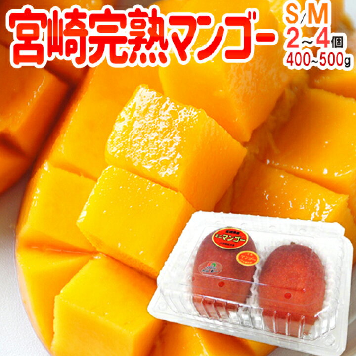 楽天市場】”宮崎マンゴー” 中玉 S〜Mサイズ 2〜4玉前後 約400〜500g 