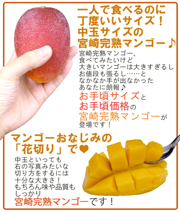 楽天市場】”宮崎マンゴー” 中玉 S〜Mサイズ 2〜4玉前後 約400〜500g 