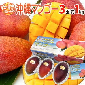 ����Y �h���n�}���S�[�h �G�i 3�� ��1kg ���ϔ� ����}���S�[�y�\�� 7���ȍ~�z ��������