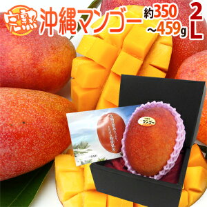 �h����Y ���n�}���S�[�h �G�i ���2L 1�� ���ϔ� ����}���S�[�y�\�� 7���ȍ~�z ��������