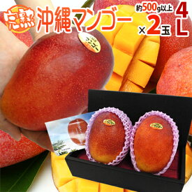 ”沖縄産 完熟マンゴー” 秀品 特大玉4L 2玉 化粧箱 沖縄マンゴー【予約 7月以降】 送料無料