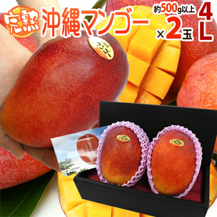 楽天市場】”沖縄産 完熟マンゴー” 秀品 特大玉4L 2玉 化粧箱 沖縄 