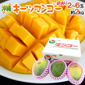 ����Y �h�L�[�c�}���S�[�h �󂠂� 2�`6�ʑO�� ��2kg�y�\�� 8�����{�ȍ~�z ��������
