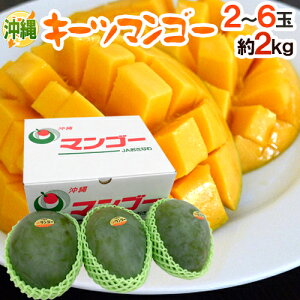 ����Y �h�L�[�c�}���S�[�h �G�i 2�`6�� ��2kg�y�\�� 8�����{�ȍ~�z ��������