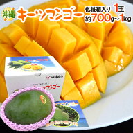 沖縄産 ”キーツマンゴー” 秀品 超大玉 約700g〜1kg 化粧箱【予約 8月中旬以降】 送料無料
