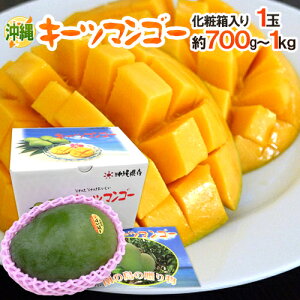����Y �h�L�[�c�}���S�[�h �G�i ����� ��700g�`1kg ���ϔ��y�\�� 8�����{�ȍ~�z ��������